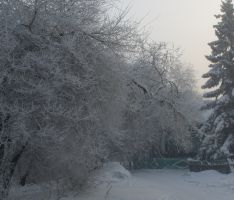 Морозный день в Нижнеудинске.