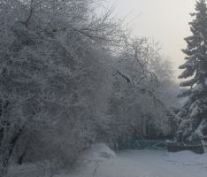 Морозный день в Нижнеудинске.